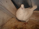 DSC00028