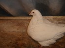 DSC00030