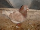 DSC00045