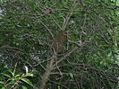 DSCF1124