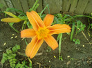 Fotografii-0174