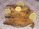 DSCN5843_1325