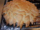 DSCN5874_1356