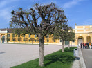 Austria Wiena muzeu Schönbrunn-05
