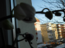 30.12.2012 023