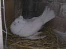 PICT0088