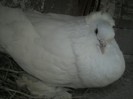 PICT0092