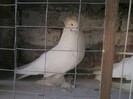 PICT0094