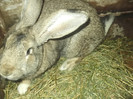 DSCF4648