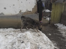 DSCF4653