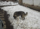 DSCF4655