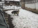 DSCF4656