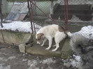 DSCF4659