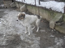 DSCF4661