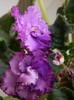 DSCN0035