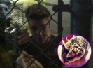 justin-beber-hamster-pac-1_0