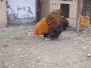 DSCF7653
