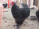 DSCF7690