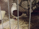 DSCF4382