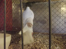 DSCF4388