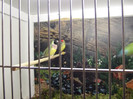 DSCF4399
