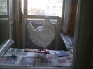 pe balcon