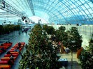 EUROPASHAU 2012 LEIPZIG
