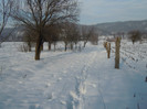 DSCN7825