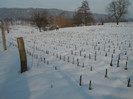 DSCN7830