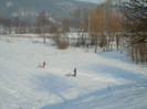 DSCN7839