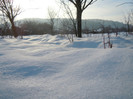 DSCN7847