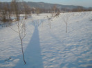 DSCN7882