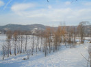 DSCN7884