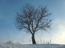 DSCN7886