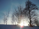 DSCN7889