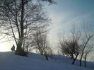 DSCN7890