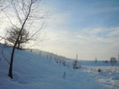 DSCN7897