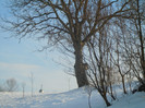 DSCN7902