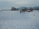 DSCN7937