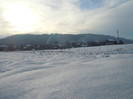 DSCN7943