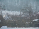 DSCN7950