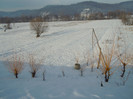 DSCN7960