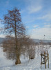 DSCN7966
