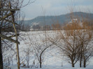 DSCN7982