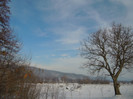 DSCN7984