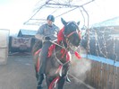 IMG_20121231_102458