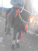 IMG_20121231_102520