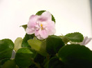IMAG0023
