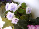 IMAG0032