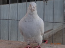 DSC01253